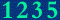 web counter