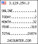 web counter