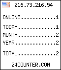 web counter