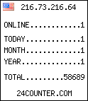 hit counter