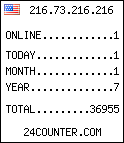 web counter