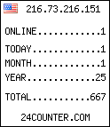 web counter