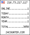 web counter