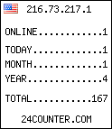 web counter