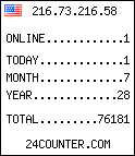 web counter