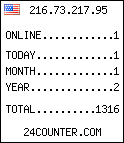 web counter