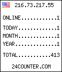 hit counter