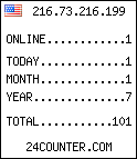 web counter