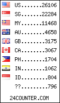 visitors by country counter