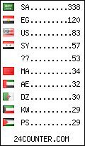 visitors by country counter