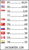visitors by country counter