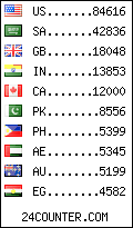 visitors by country counter