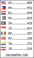 visitors by country counter