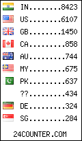 visitors by country counter