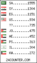 visitors by country counter