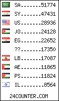 visitors by country counter
