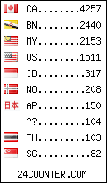 visitors by country counter