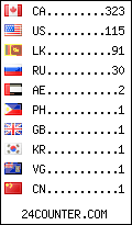 visitors by country counter