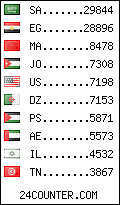 visitors by country counter