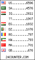 visitors by country counter