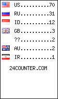 visitors by country counter