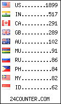 visitors by country counter