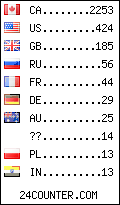 visitors by country counter