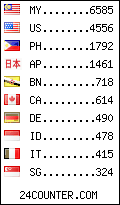 visitors by country counter