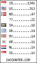 visitors by country counter
