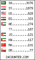 visitors by country counter