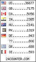 visitors by country counter