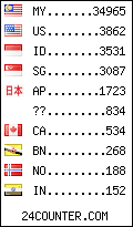 visitors by country counter