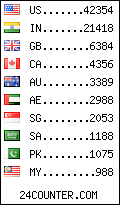 visitors by country counter