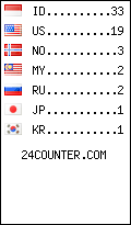 visitors by country counter