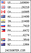 visitors by country counter