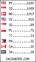 visitors by country counter
