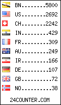 visitors by country counter