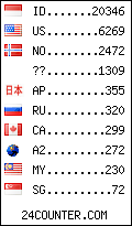 visitors by country counter