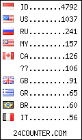visitors by country counter