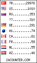 visitors by country counter