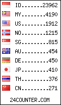 visitors by country counter