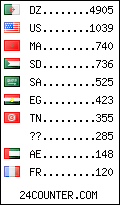 visitors by country counter