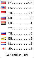 visitors by country counter