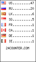 visitors by country counter