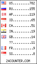 visitors by country counter