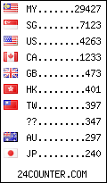 visitors by country counter