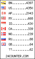 visitors by country counter