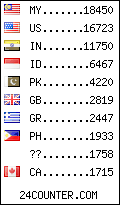 visitors by country counter