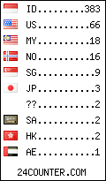 visitors by country counter