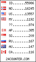 visitors by country counter